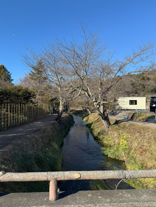 Oshino Hakkai @ "Eight Seas"