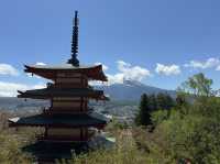 A Perfect Day Trip from Tokyo to Lake Kawaguchiko – Nature, Culture, and Mount Fuji Views