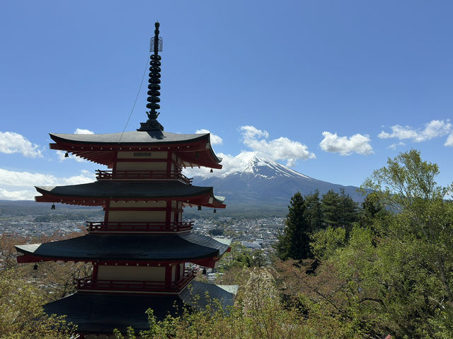 A Perfect Day Trip from Tokyo to Lake Kawaguchiko – Nature, Culture, and Mount Fuji Views