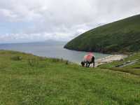 Northern Ireland