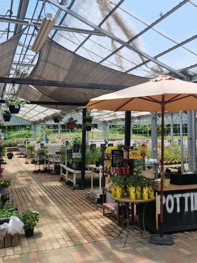 알록달록한 꽃들이 가득! 후쿠오카 신구 꽃집💐