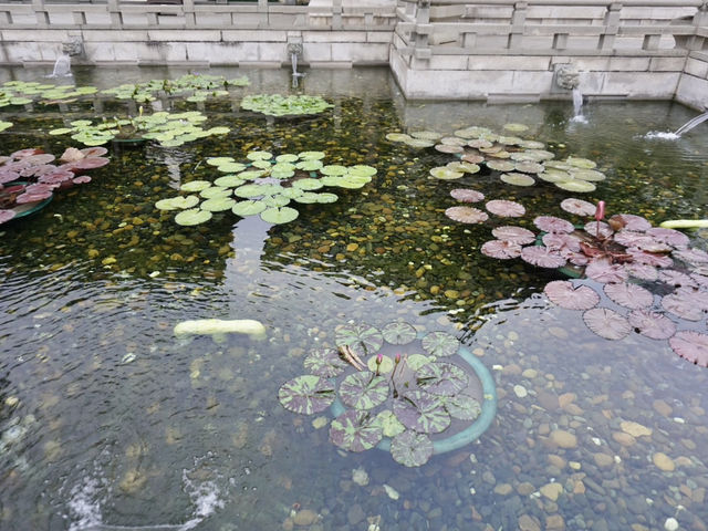 A Peaceful Pause: Hong Kong’s Best Kept Secrets—Chi Lin Nunnery and Nan Lian Garden