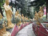 10,000 Buddhas, One Journey: A Peaceful Escape in Sha Tin