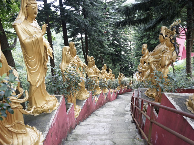 10,000 Buddhas, One Journey: A Peaceful Escape in Sha Tin