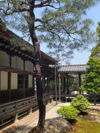 【京都】滝の音を聞きながらお抹茶も楽しめる🍵南禅寺の見どころ5選を紹介⛩️