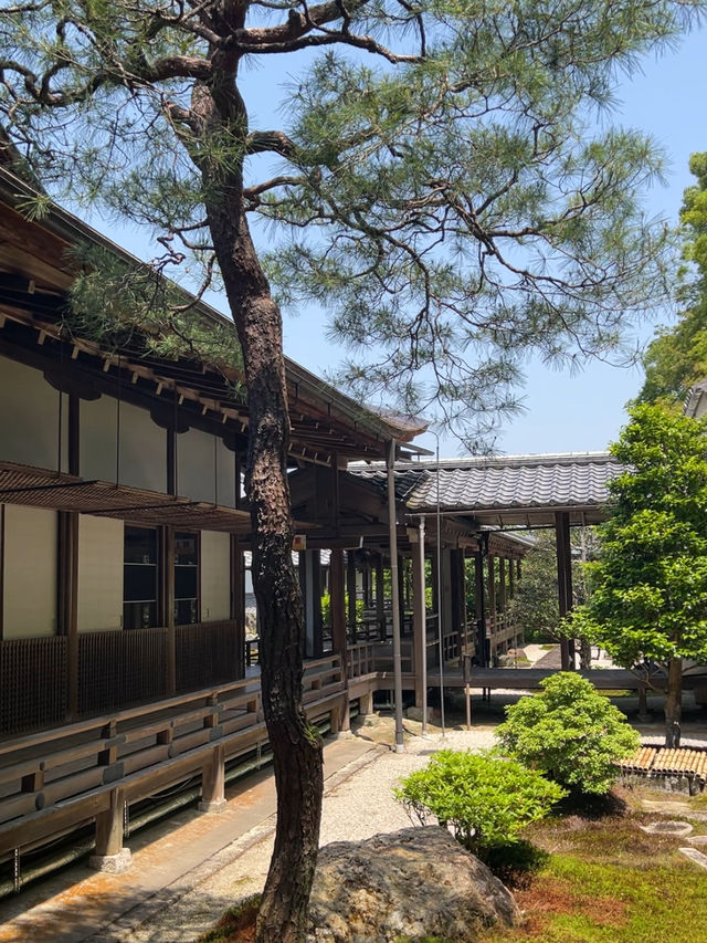 【京都】滝の音を聞きながらお抹茶も楽しめる🍵南禅寺の見どころ5選を紹介⛩️