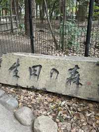 【大阪】神戶生田神社⛩️試玩結緣水占卜💦