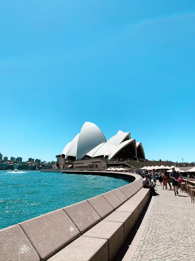 環形碼頭：悉尼的活力中心