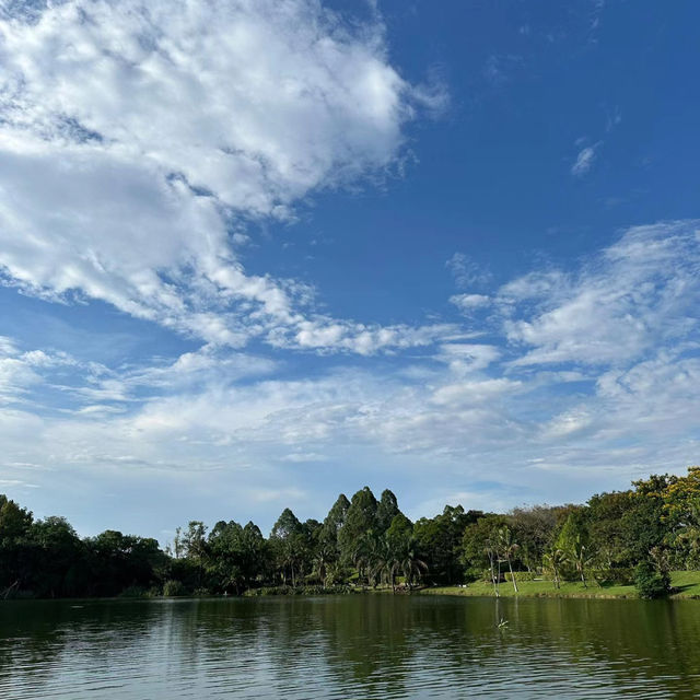 三巴旺公園🌞綠意盎然的“歡樂王國” 🌳🎠