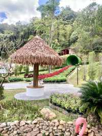 Vibrant Display of Flora @Betong Garden