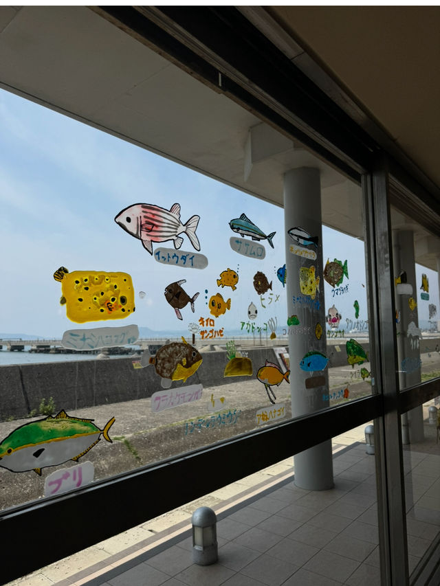 展望台からは館山湾が一望できる千葉の絶景道の駅「渚の駅 たてやま」🫣💞