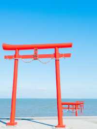 【佐賀】ここ知ってますか？海に浮かぶ幻想的な海中鳥居⛩🌊 