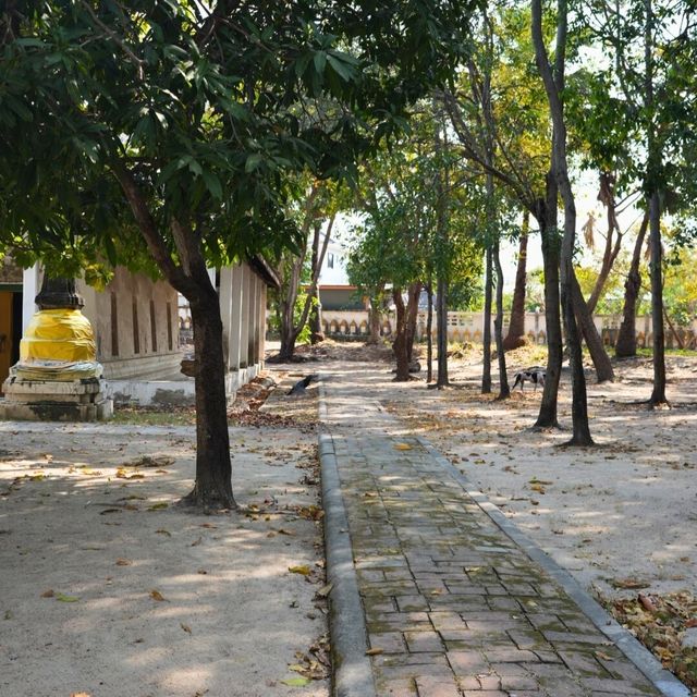 🫢 วัดตาลล้อม
