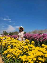สวนวิลาวัณย์-วังน้ำเขียว Wilawan garden