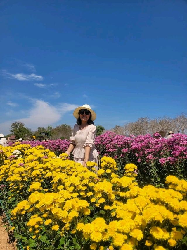สวนวิลาวัณย์-วังน้ำเขียว Wilawan garden