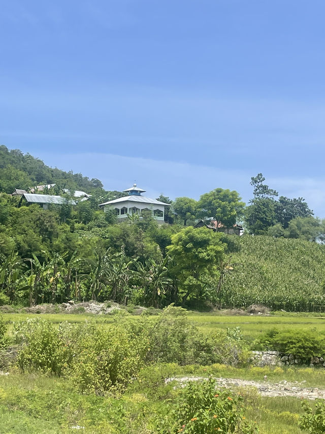 Driving into Reo: A Surprise Worth the Journey 🚗🌿