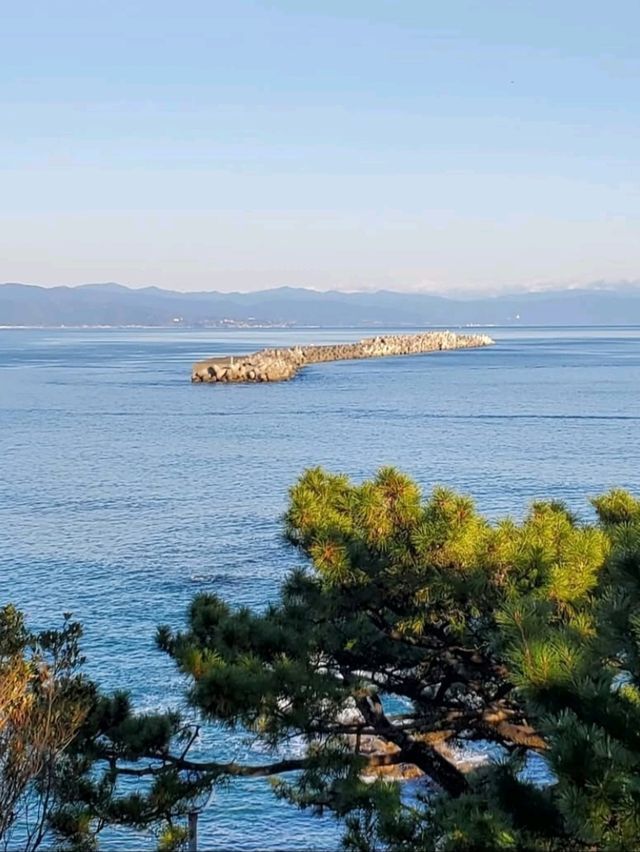 松の緑と紺碧の海が調和する見事な景勝地