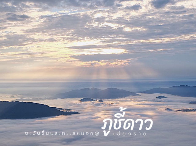 พาชมตะวันขึ้นและทะเลหมอก ภูชี้ดาว จ.เชียงราย