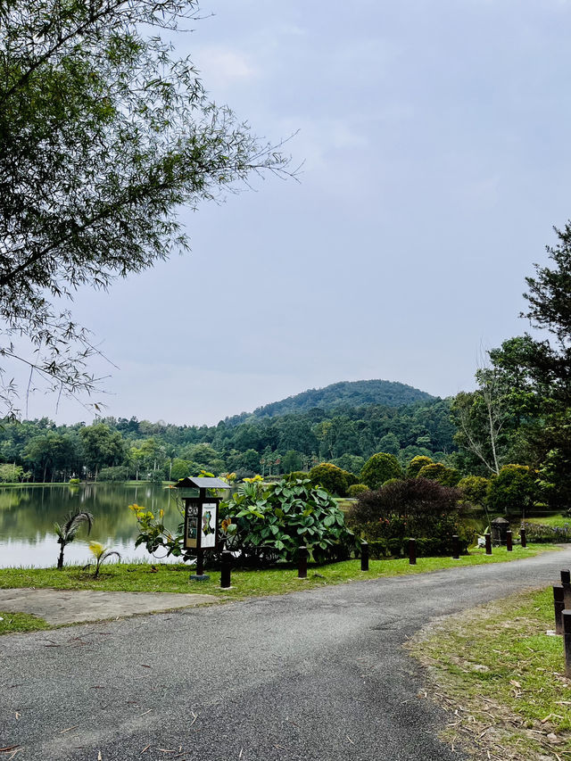 “Kepong Botanical Garden: A Green Escape with Amazing Views”