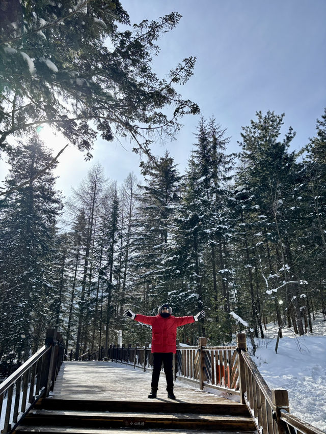 ❄️☃️Snow Town หมู่บ้านหิมะ Harbin☃️❄️