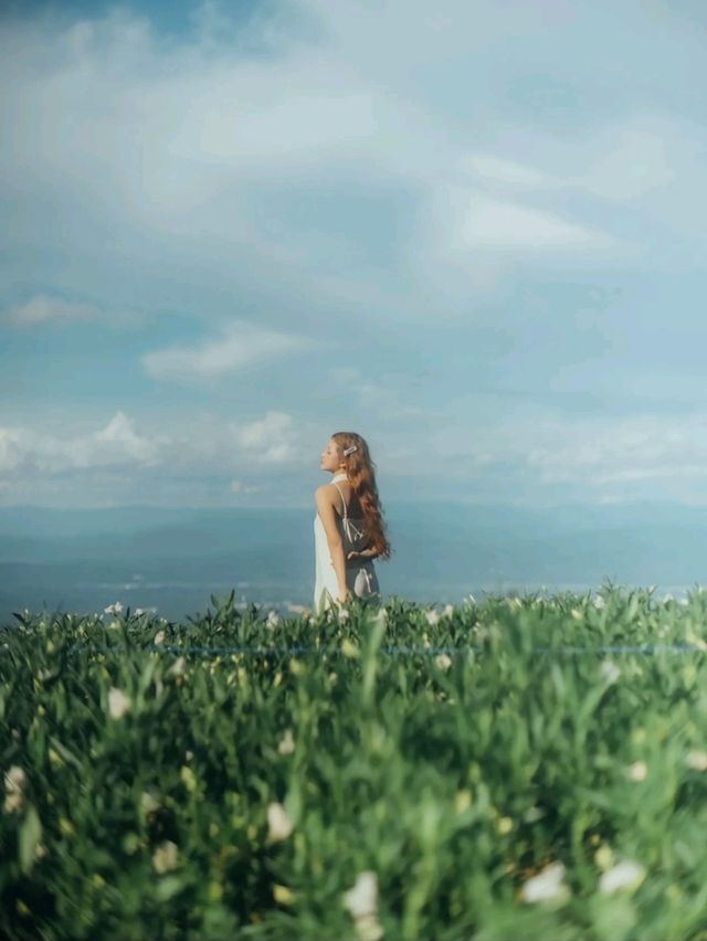 ดอกไม้