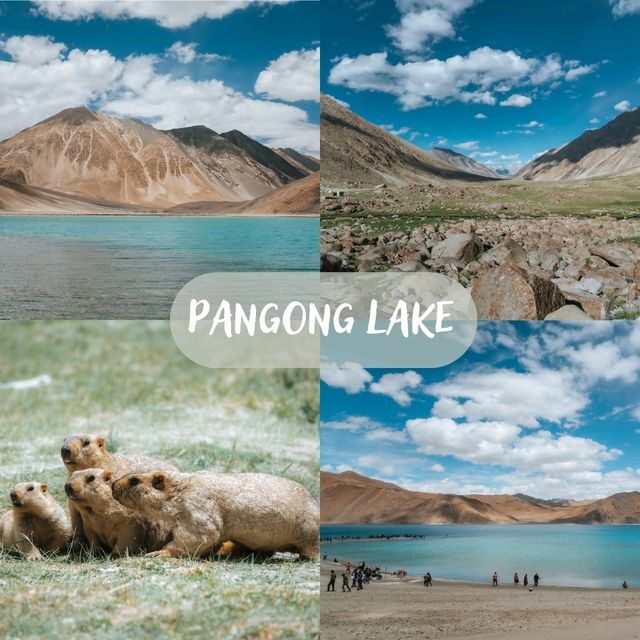 Leh Ladakh