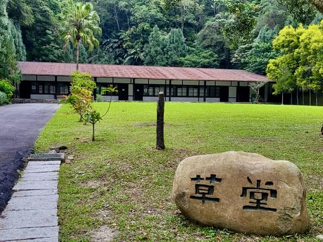 新竹景點 ～麻布山林隱居山中與世隔絕的森林秘境|