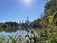 紐約中央公園Central Park——繁忙都市中的世外桃源