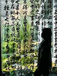 Exploring the Heart of Chengdu