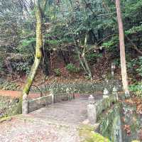 回遊式庭園 - 虎溪山永保寺