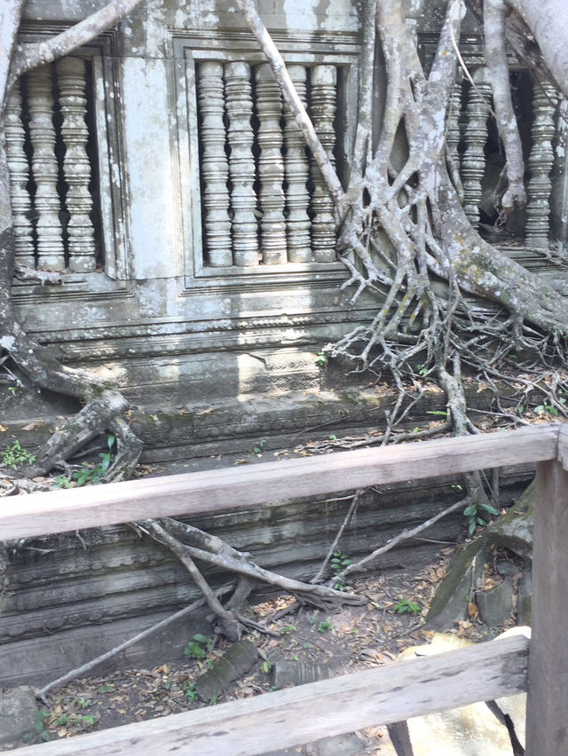 カンボジア🇰🇭ベンメリア遺跡