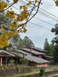 วังสวนบ้านแก้ว