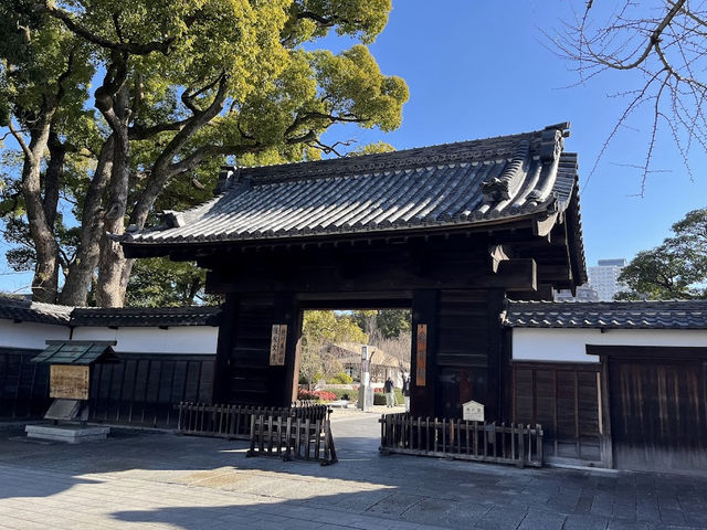 徳川のお宝を見よう🤍【徳川美術館】