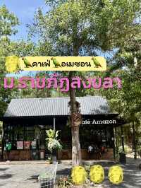 หลงป่าคาเฟ่🌲 กลางเมือง สงขลา