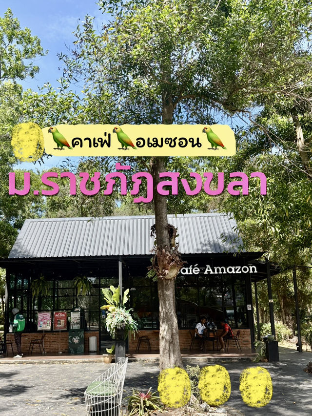 หลงป่าคาเฟ่🌲 กลางเมือง สงขลา
