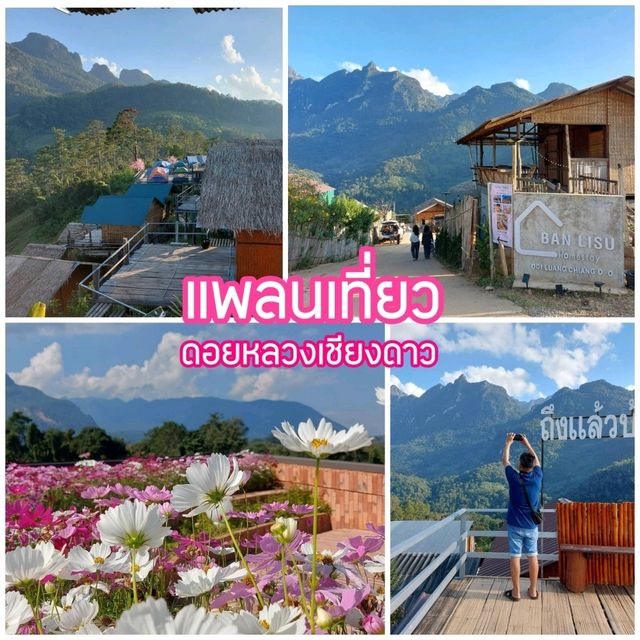 แพลนเที่ยวดอยหลวงเชียงดาว 