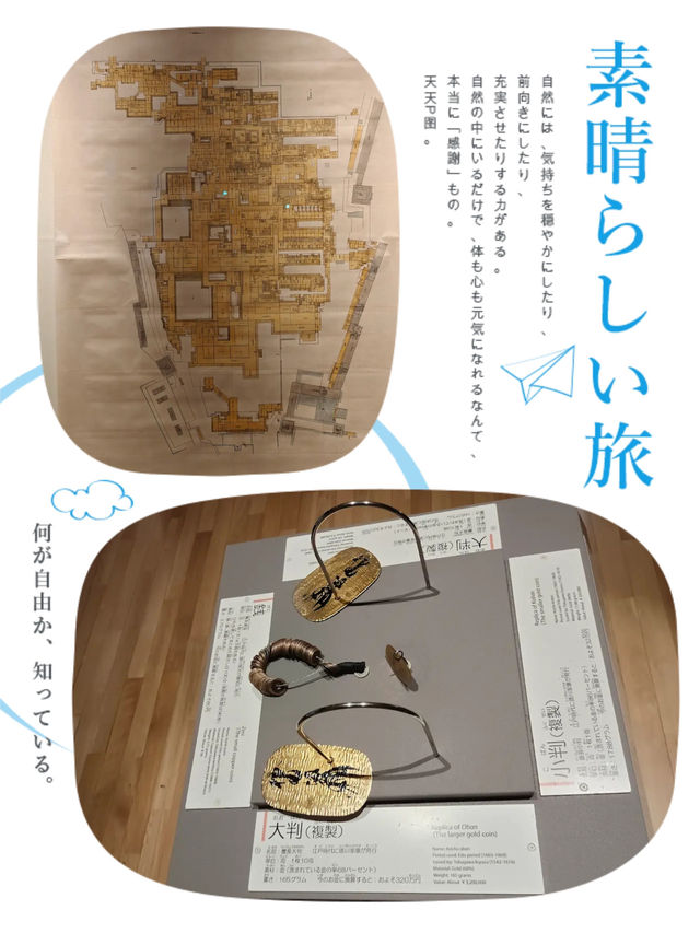 發掘上野寶藏級景點👉