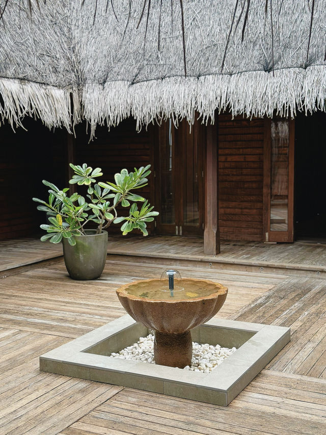 💆🏻‍♀️馬爾夫港麗島專業而療癒的島上Spa🤎