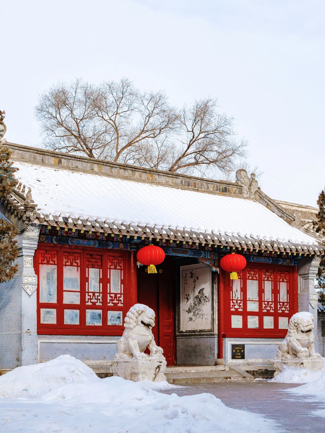 Trip to Qiqihar, China🇨🇳