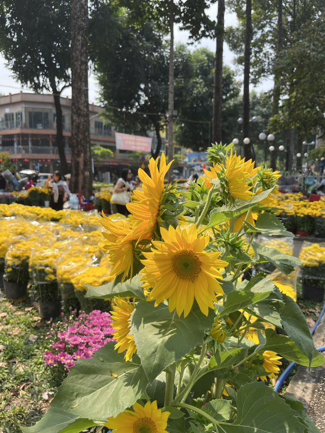 🌸 Ho Chi Minh City Flower Markets | A Burst of Color for Tết 🌿✨