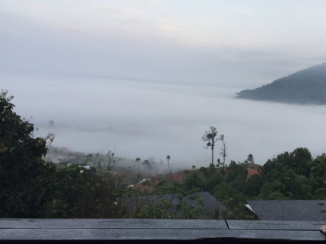  The Sense Resort Khaokho ทะเลหมอก วิวหลักล้าน 