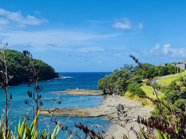 Nature's Haven - Spring Hike and Relaxation at Goat Island Marine Reserve