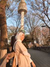 Sunset 🌅 and romantic cherry blossom view from Namsan Tower🗼