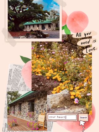 봄의 예술적 꽃 🎨🌷
