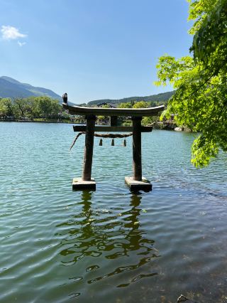 Solo Spring Getaway in Yufuin