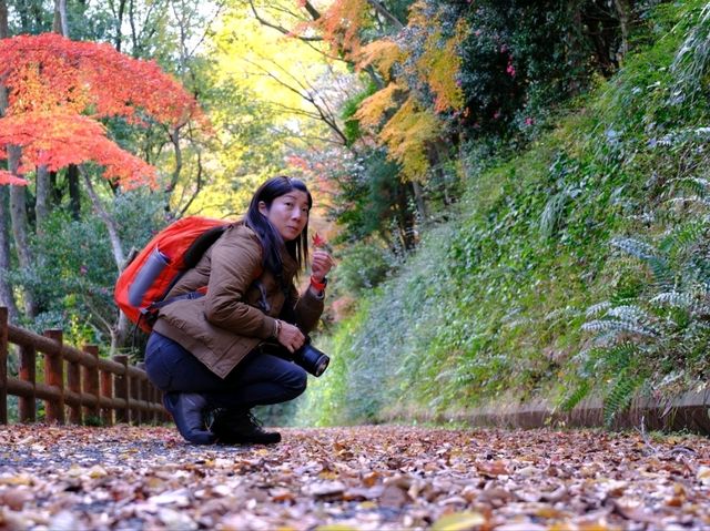 活力 . 愛媛県立とべ動物園
