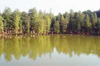 Easy Stroll at the Dafushan Forest Park of Panyu