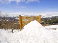 【岩手県】春の風物詩！八幡平アスピーテライン「雪の回廊」