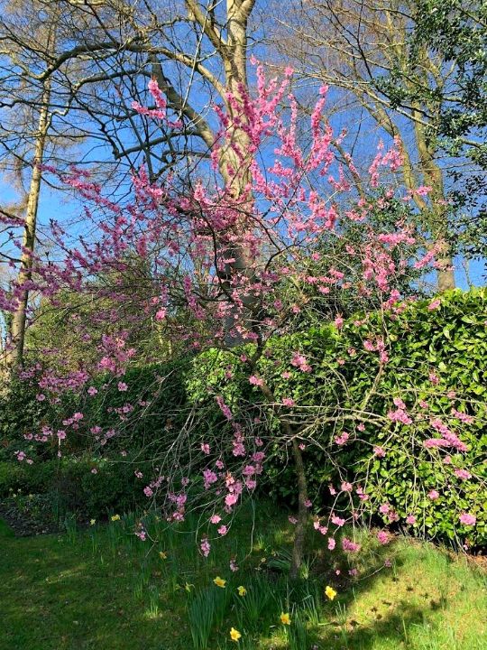 Winterbonrne House and Garden