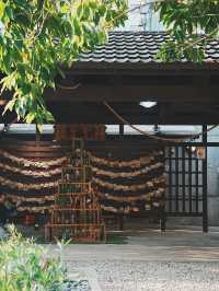 櫻花、木屋與咖啡香 走進77文藝町的慢生活